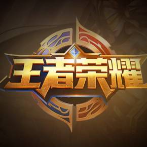 场激励缩短